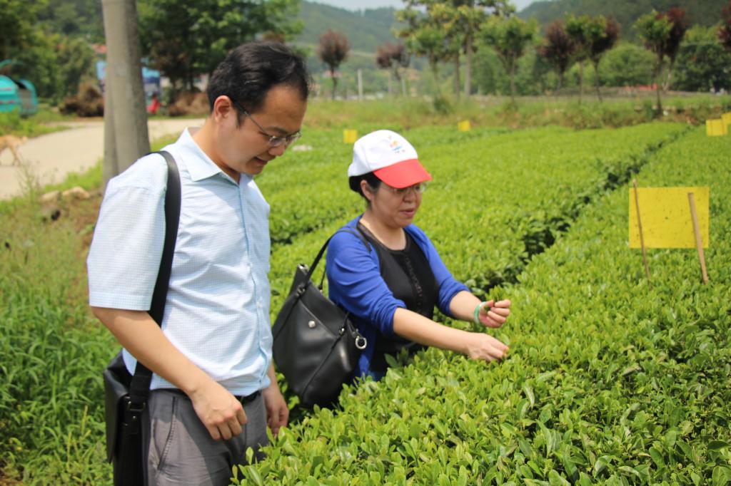 教师进农户，理论下基层——beat365全体党员教师赴英山县乌云山村学习调研